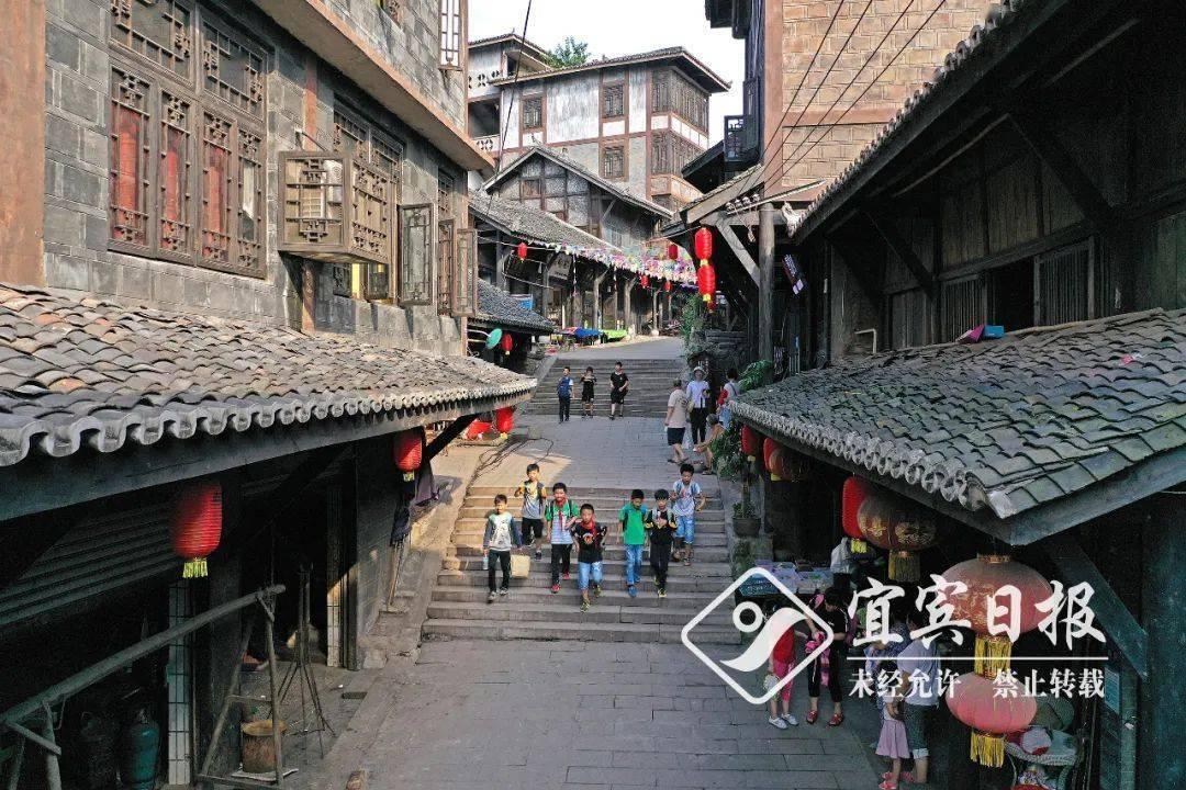 吉林男子遭黑熊袭击，趴地装死被撕咬！遇到熊装死到底有没有用？